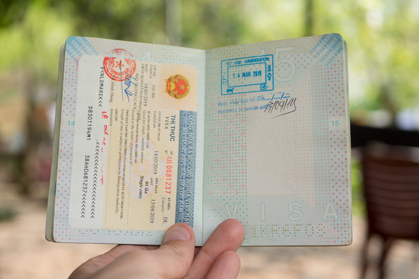 Vietnam Business Visa – Complete Guide for 2026